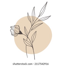 collection forest fern eucalyptus art foliage natural
leaves herbs in line style. Decorative beauty, elegant illustration 
for design: Vector flower Botanical