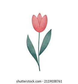 collection forest fern eucalyptus art foliage natural
leaves herbs in line style. Decorative beauty, elegant illustration
for design: Vector flower Botanical watercolor