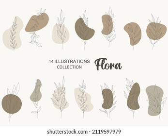 collection forest fern eucalyptus art foliage natural
leaves herbs in line style. Decorative beauty, elegant illustration 
for design: Vector flower Botanical