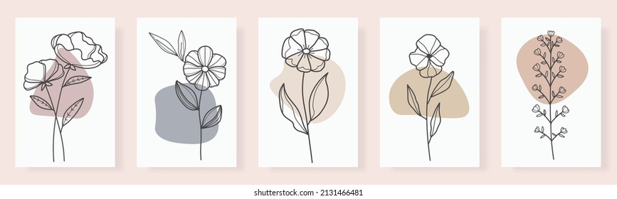 collection forest fern eucalyptus art foliage natural
leaves herbs in line style. Decorative beauty, elegant illustration 
Vector flower Botanical