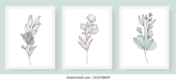 collection forest fern eucalyptus art foliage natural
leaves herbs inline style. Decorative beauty, elegant illustration 
Vector flower Botanical