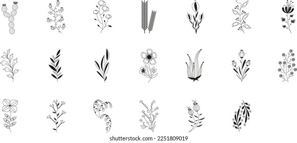 Collection forest fern eucalyptus art foliage natural leaves herbs in line style. Decorative beauty elegant illustration for design hand drawn flower. Wedding invitation floral wreath minimal design.