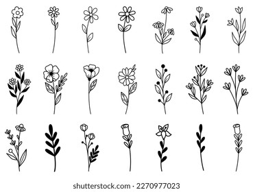 collection forest fern eucalyptus art foliage natural leaves herbs in line style. Decorative beauty elegant illustration for design hand drawn flower