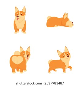 Colección de cuatro ilustraciones adorables de Corgi de dibujos animados, con diferentes poses juguetonas y de descanso