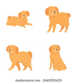 Collection of four adorable illustrated poodles in different poses on a white background