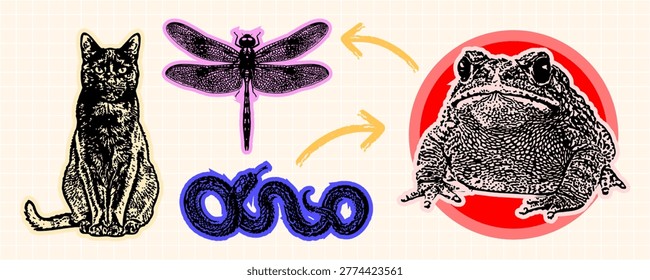 A collection of four animal graphics: a sitting cat, a dragonfly, a coiled snake, and a large toad, presented in a retro woodcut art style.