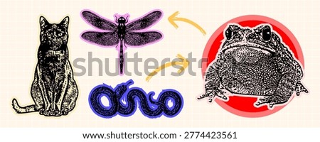 A collection of four animal graphics: a sitting cat, a dragonfly, a coiled snake, and a large toad, presented in a retro woodcut art style.