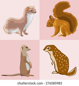 Collection from four beasts. Vector illustration