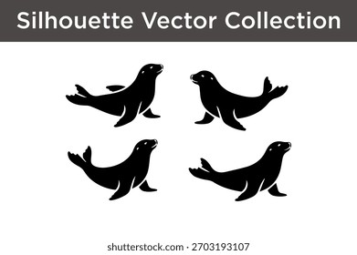 Una colección de cuatro Ilustraciones vectoriales de siluetas negras de focas en varias poses.