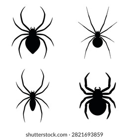 Collection of four black spider silhouettes on clean white background, creepy crawlies