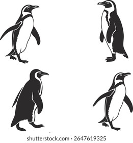 Coleção de quatro silhuetas de pinguim preto e branco: aves antárticas adoráveis em várias posas - conjunto de vetor animal estilizado