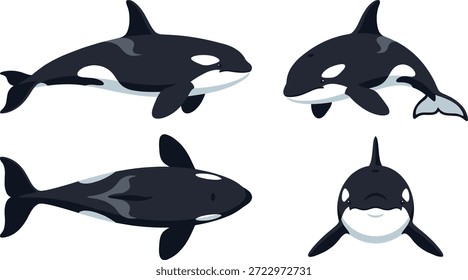 Una colección de cuatro orcas de dibujos animados representadas desde diferentes ángulos, presentadas como Arte vectorial.