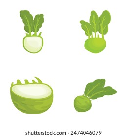 Colección de cuatro Ilustraciones vectoriales de estilo caricaturista de vegetales verdes saludables