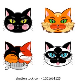 Collection of four cat snouts.