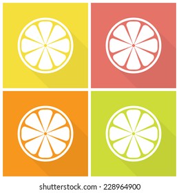 Collection of four citrus fruits icons in flat style