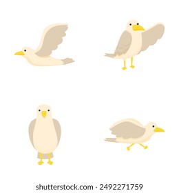 Collection of four cute animated seagull characters in various poses on a white background