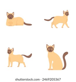 Collection of four cute siamese cat vector illustrations, each showcasing a different pose