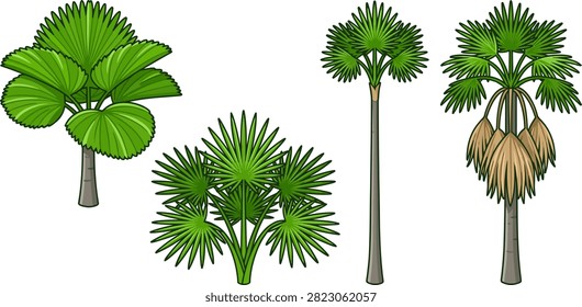 A collection of four different styles of tropical palm trees illustrated in a flat cartoon design isolated on a white background.
