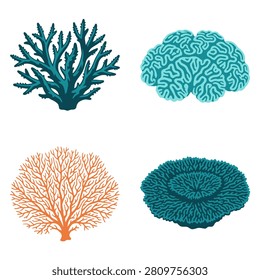 A collection of four different types of marine coral vector illustrations including brain coral sea fan and branching coral on a plain white background
