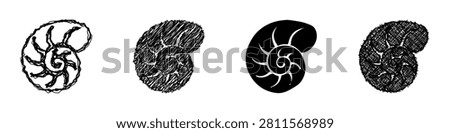 A collection of four distinct artistic representations of a nautilus shell, showcasing varied textures and line work for diverse design applications