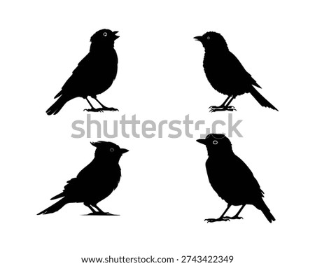 A collection of four distinct bird silhouettes, each captured in a static pose against a white background.