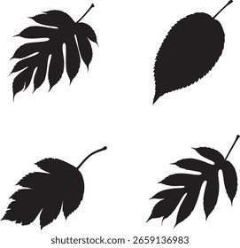 Una colección de cuatro siluetas de hojas negras distintas con bordes texturizados, presentadas sobre un fondo blanco limpio.