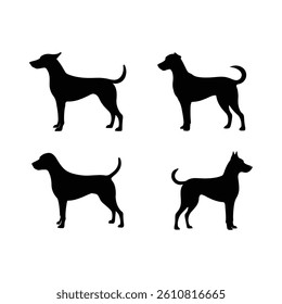 a collection of four distinct dog silhouettes. each dog is black against a white background, showcasing different ear shapes and poses, creating a simple, clean design.