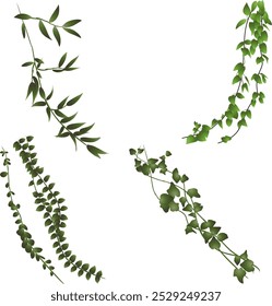 A collection of four distinct green vine illustrations featuring various leaf shapes and sizes. The vines showcase a natural, organic design, perfect for botanical themes.