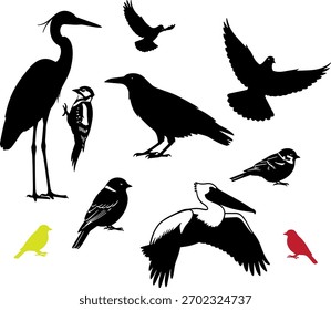 Uma coleção de quatro ilustrações de aves diversas, com contorno, silhueta e estilos gráficos em preto e branco. Ideal para projetos de natureza, design e educação.