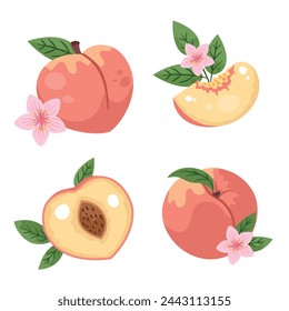 A Collection of Four Flat Hand-drawn Peaches