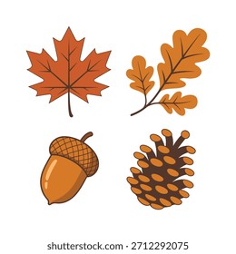 Una colección de cuatro Elementos de otoño dibujados a mano: una hoja de arce, hojas de roble en una rama, una bellota y una piña.