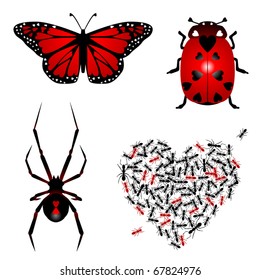 Collection of four insect types with heart markings