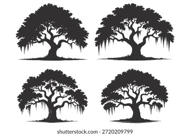 Colección de cuatro ilustraciones de siluetas de árboles Grandes y maduros con exuberantes doseles y musgo colgante.