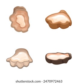 Collection of four stylized oyster mushroom illustrations with a soft, dimensional aesthetic