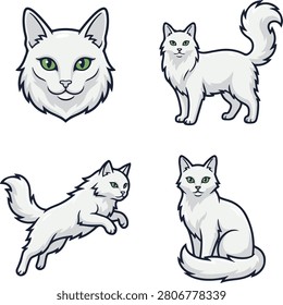 A collection of four vector illustrations of a beautiful white fluffy cat in various poses including a close-up face portrait, standing, jumping, and sitting. Designed in a clean cartoon style with green eyes, isolated on a white background. Perfect for pet shop branding, veterinary designs, icons, and social media content.