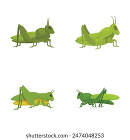 Collection of four vector illustrations of green cartoon grasshoppers isolated on a white background