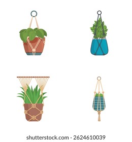 Collection of four vector illustrations of indoor plants in decorative hanging pots