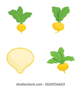 Collection of four vector illustrations showcasing different views of ripe yellow turnips with green leaves