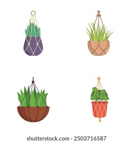 Collection of four vector illustrations of trendy hanging indoor plants in pots