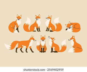 collection of fox in different pose, walking, sitting, sleeping, jumping, howling illustration