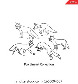 collection of fox picture poses