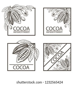 collection of frames with cocoa beans, branch and leaves