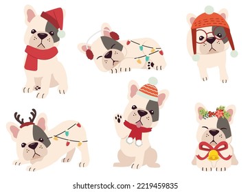 The collection of french bulldog in many actions for Christmas theme. Graphic resource about bulldog for graphic, content, etc.