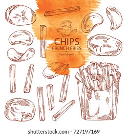 Collection of french fries, chips and potatoes. Fast food. Vector hand drawn illustration.