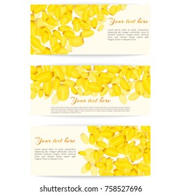Collection of fresh banners with yellow soaring petals of tulips for decoration on a white background of a birthday greeting or a mother's day
