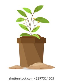collection of fresh botanical plant  that can be reused in flat illustrations, these  elements will create a fresh atmosphere, simple modern and elegant vector design.