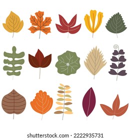 Collection of fresh and dry tropical fall leaf. Vector illustration on white background