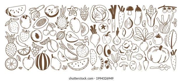 Collection of fresh fruits and vegetables. Healthy and beneficial product. Organic food. Gardening or farming concept. Design for print, label or stickers. Flat vector illustration. Sketch design.