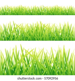 A Collection of Fresh green grass lines. Vector illustration