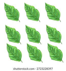 Sammlung frischer grüner Blätter ohne Hintergrund
